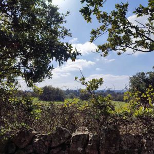 campagna-pugliese